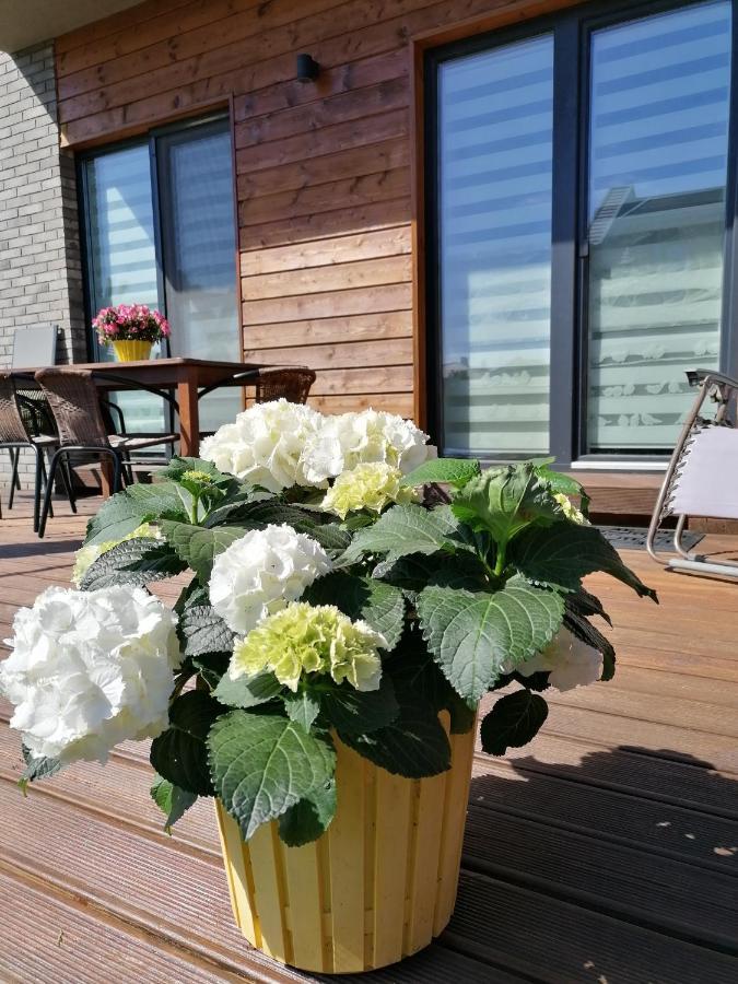 Geltoni Apartamentai Appartement Palanga