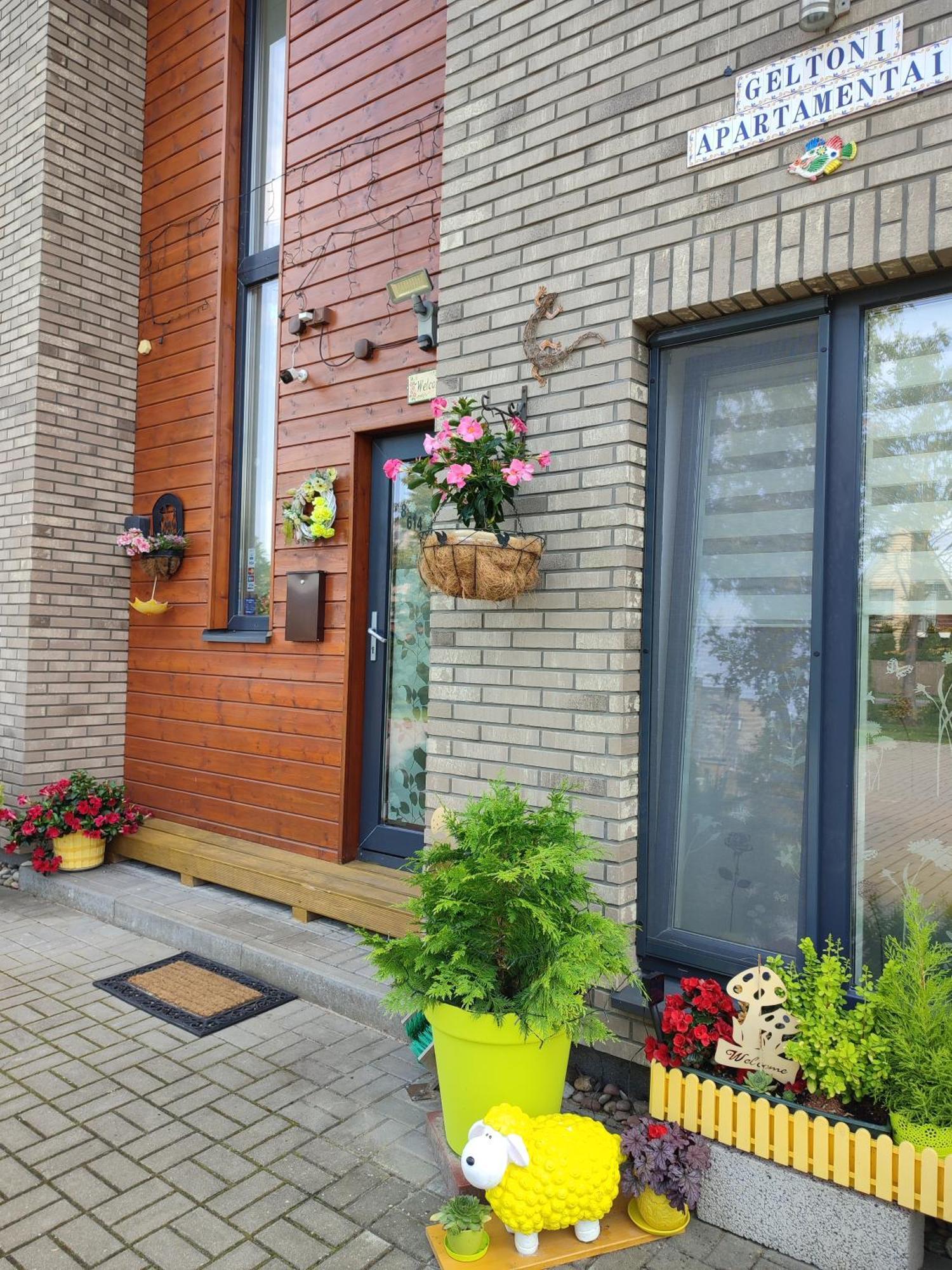 Geltoni Apartamentai Palanga