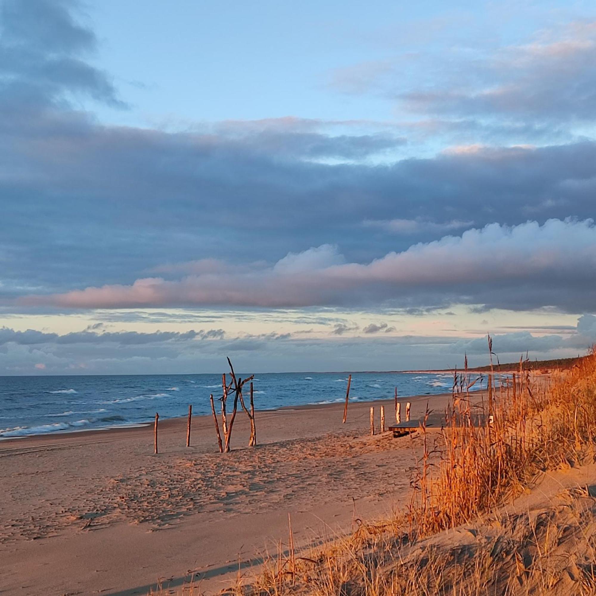 Geltoni Apartamentai Appartement Palanga
