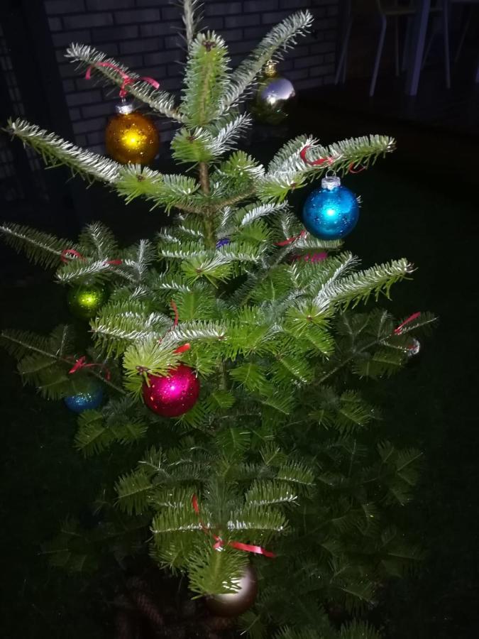 Geltoni Apartamentai Lejlighed Palanga